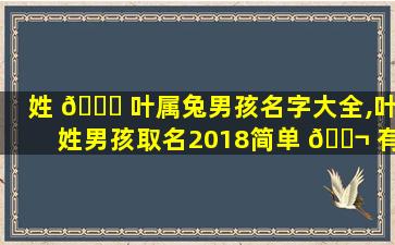 姓 🍁 叶属兔男孩名字大全,叶姓男孩取名2018简单 🐬 有寓意